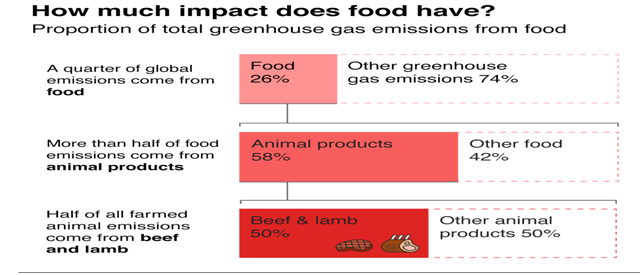 Food Impact