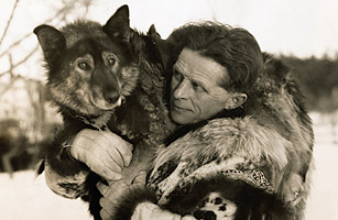 Serbian Dog - Best Dog